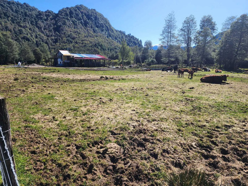 Camino Lago Riesco (76136)