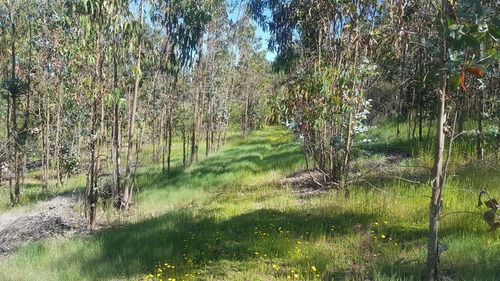 Parcela De 5000mt2 A 1km. Del Centro De Litueche