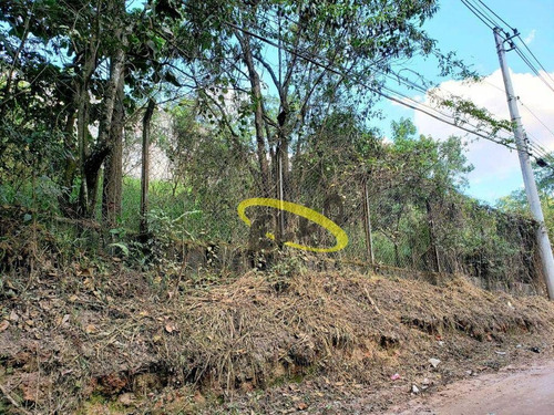 Imagem 14 de 22 de Área À Venda, 20000 M² Por R$ 8.000.000,00 - Chácara Roselândia - Cotia/sp - Ar0205