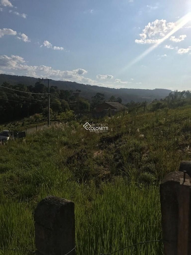 Imagem 8 de 8 de Terreno - Vila Sao Jorge - Ref: 1633 - V-1633