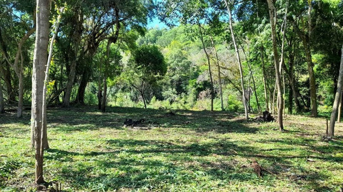 Imagen 24 de 25 de Loteo La Martina, Sobre Arroyo Acaraguá, Misiones