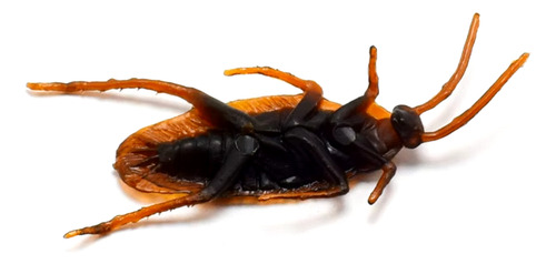 Kit 25 Cucarachas Falsas Plásticas Broma Halloween Insectos
