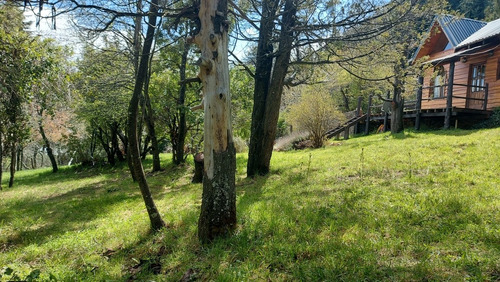 Imagen 2 de 27 de Complejo Casa,cabaña Y Monoambiente Sobre Terreno De Bosque Nativo En El Circuito Chico De Bariloche.