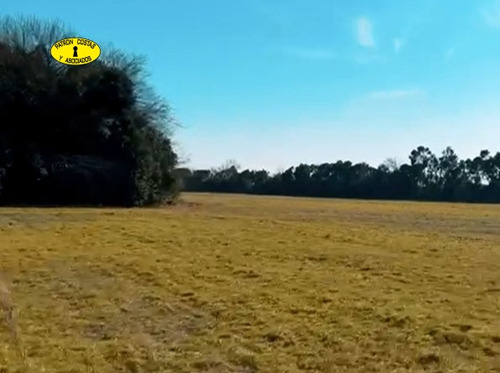 Venta Campo 6 Hectáreas Ruta Nacional 5