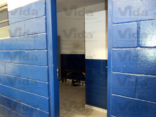 Imagem 8 de 12 de Galpão Para Aluguel, 500.0m² - 33918