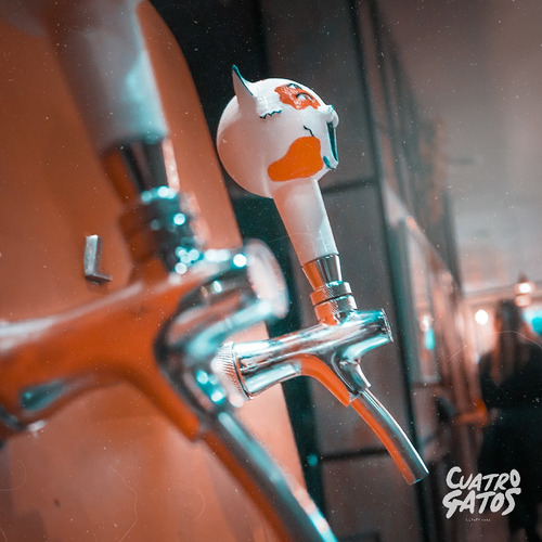 Imagen 3 de 10 de Alquiler Chopera Cerveza Artesanal Cuatro Gatos 20 30 50 Lts