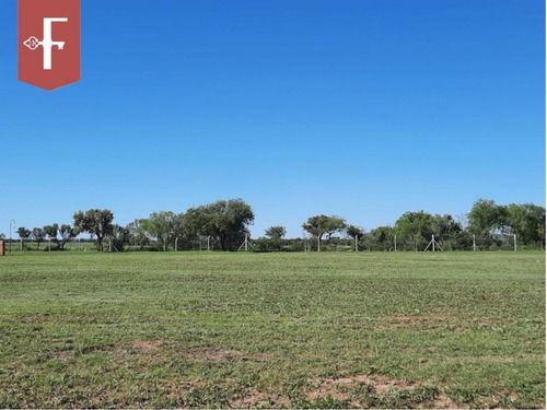 Imagen 3 de 4 de Terreno En Venta En Juana Koslay