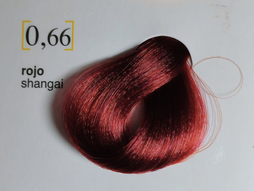 Salermix Tinte Rojo Shangai 0.66 + Oxidante
