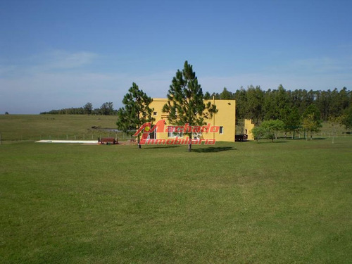 Imagen 4 de 30 de Zona Rural Muy Cercana A Playas De José Ignacio