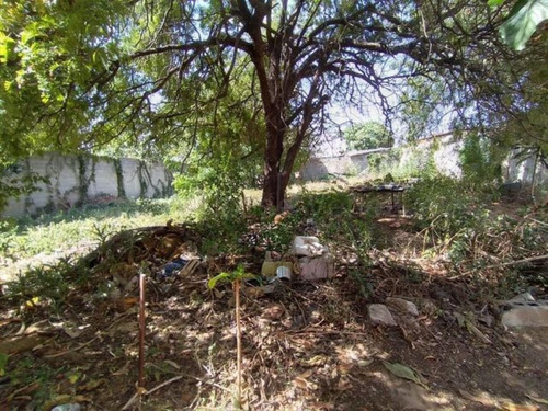 Imagen 7 de 30 de Terrenos En Venta Zona Centro Barquisimeto 21-6500 #m