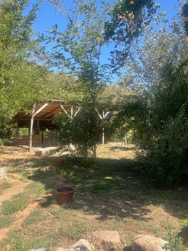 Imagen 29 de 30 de Parcela 19.000 M2 Con Casa Y Bodegas En Idahue Coltauco