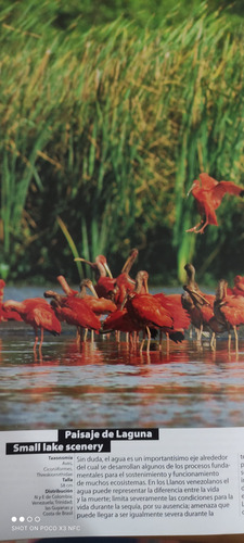 Fauna De Venezuela ..