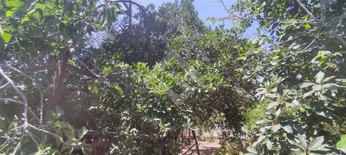 Casa En Venta De 3 Dorm. En Olmué