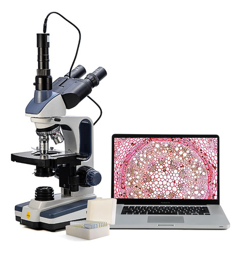 Microscopio Trinocular Compuesto Sw350t De 40x-2500x Swift