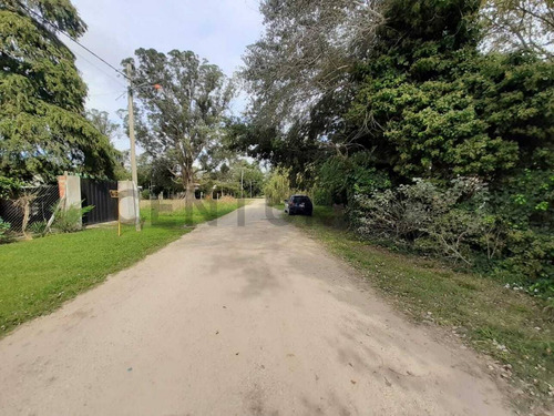 Venta Lote Barrio El Sosiego Reserva Forestal, Mar Del Platacentury 21 Recanatti Ofrece Para La V...