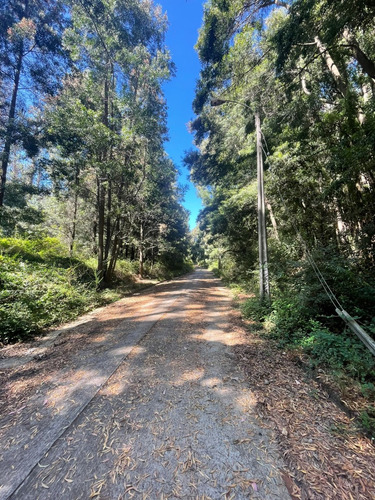 Terrenos En Venta Lo Pequen, Alto Concepción