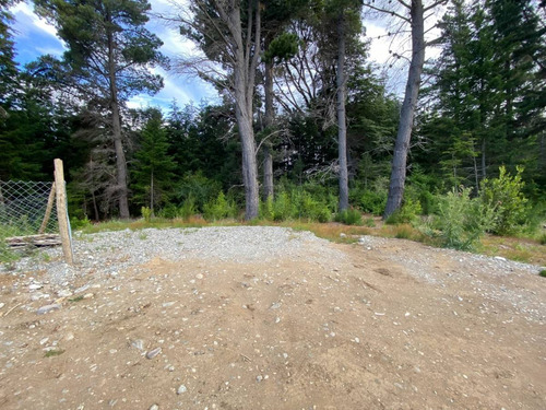 Imagen 13 de 14 de Lote En Venta - Bariloche - Avenida Bustillo Km 21 - Id: 60514
