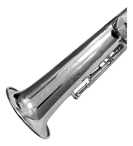Saxofon Soprano Fanpro Sxsreni Recto Niquelado