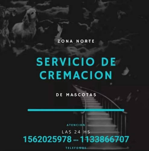 Cremación De Mascotas