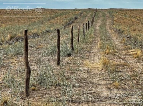 Campo En Venta De 27950 Has En Gral Alvear Mendoza. Armada Para Cria/recria