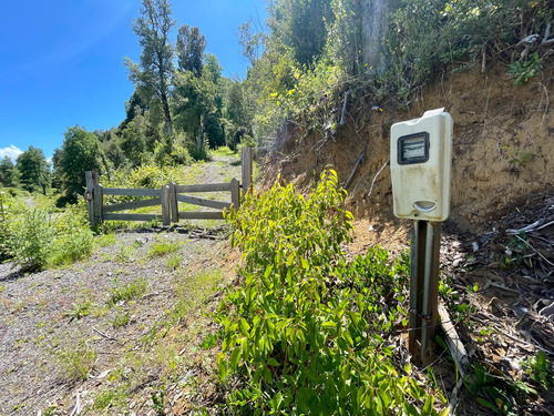 Parcela En Caburgua Con Bosque Nativo