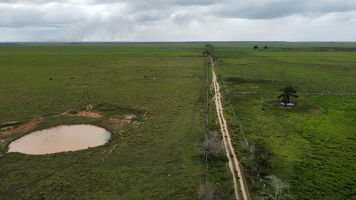 Imagen 9 de 27 de Se Vende Finca El Maitero Via El Sur De Monagas Ve02-1098vs-mtru