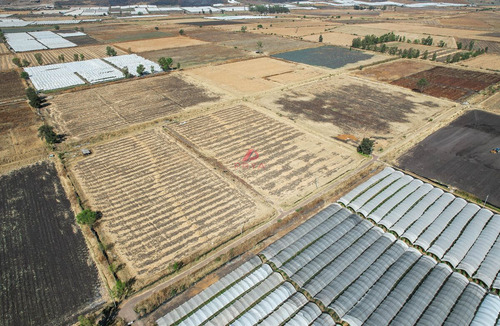 Terreno En Venta Ribera De Chapala, Jalisco