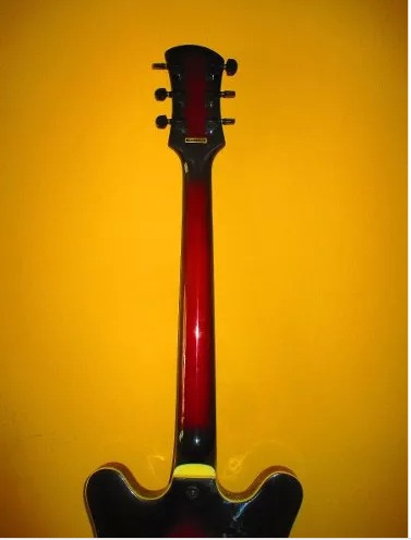 Guitarra Electrica Marca Canvas Modelo Csad Importado