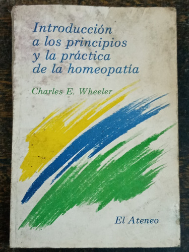 Introduccion A Los Principios Y La Practica De La Homeopatia