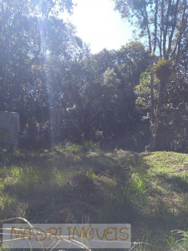 Imagem 6 de 15 de Terreno Para Venda Em Curitiba, Barreirinha - 270_2-1042240