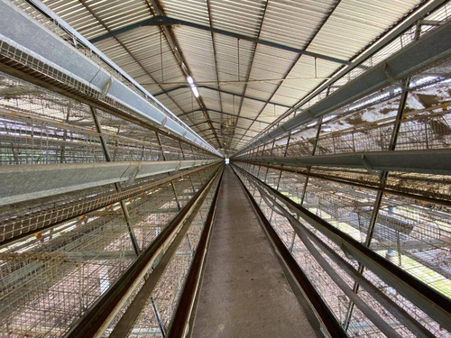Imagen 7 de 14 de Granja En Venta En Valencia