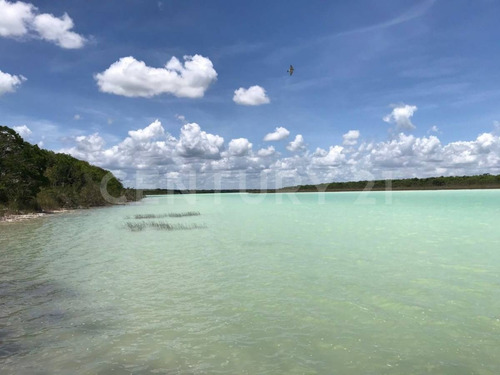 Imagen 2 de 18 de Terreno En Venta Frente A Laguna Chile Verde Cerca De Chetumal Em02021