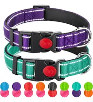 Comprar Paquete De 2 Collares Reflectantes Para Perros Grandes, Niña