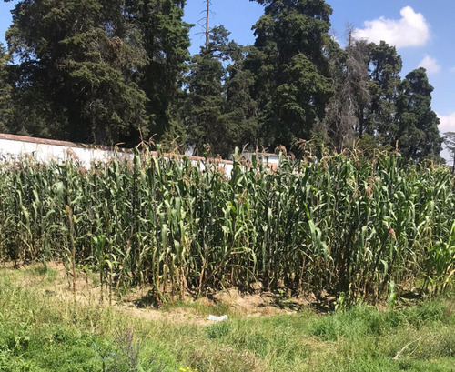 Terreno En Venta En San Lucas Calimaya