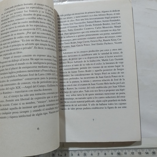 Algunos Ensayos De Hugo Gutierrez Issste (Usado)
