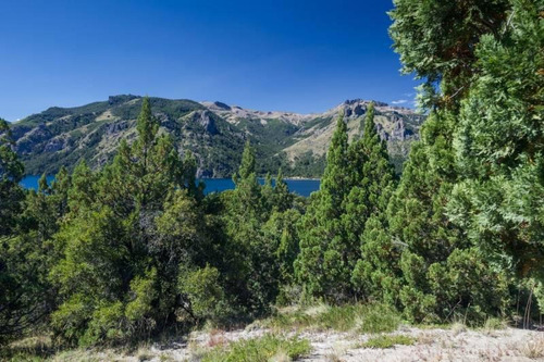 Imagen 5 de 9 de Fabienne Edelberg Fe Propiedades Venta 4 Hectareas En Lago Meliquina