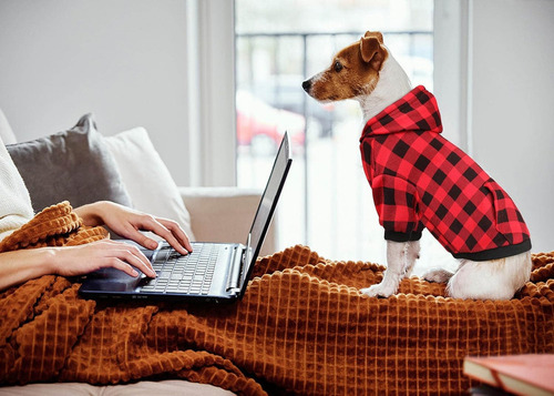 Sudadera Con Capucha Para Perro, Sudadera Para Perros