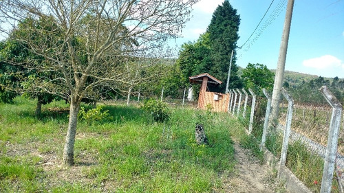 Imagem 8 de 15 de Venda - Chácara Centro / Araçoiaba Da Serra/sp - 5802