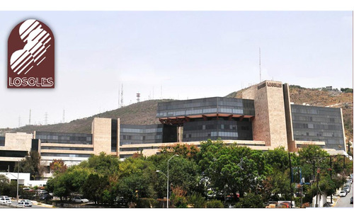 Oficina En Renta  - Edificio Losoles