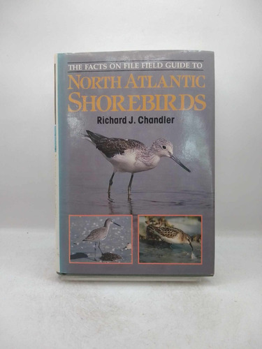 North Atlantic Shorebirds. Richard J. Chandler