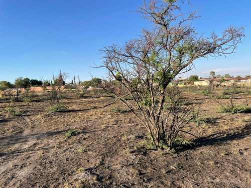 Terrenos En Aguascalientes Cerca De Nissan Ii