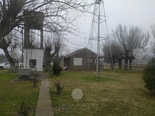 Imagen 5 de 25 de Terreno Campo En Venta En Berazategui, G.b.a. Zona Sur, Argentina
