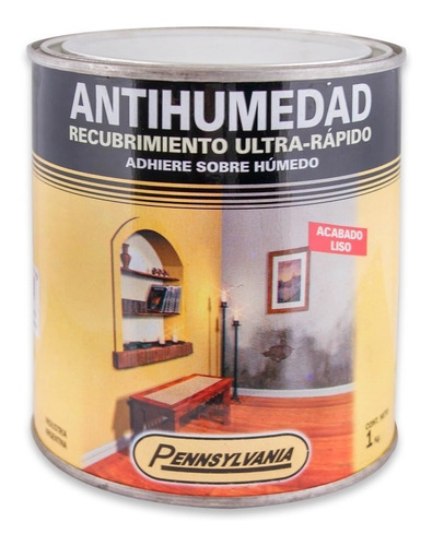 Pintura Antihumedad Pennsylvania 1lt