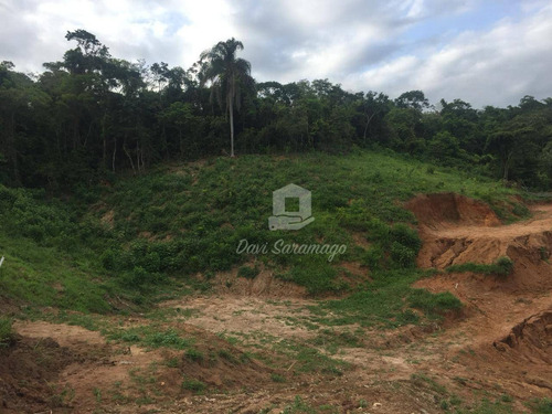 Imagem 19 de 22 de Terreno Amplo Para Desenvolvimento Imobiliário. - Te0019