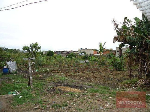 Imagem 4 de 6 de Terreno À Venda, 6000 M² Por R$ 7.500.000,00 - Jardim Presidente Dutra - Guarulhos/sp - Te0017