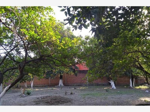 Imagen 3 de 8 de Terreno Comercial En Venta Itzamatitlan