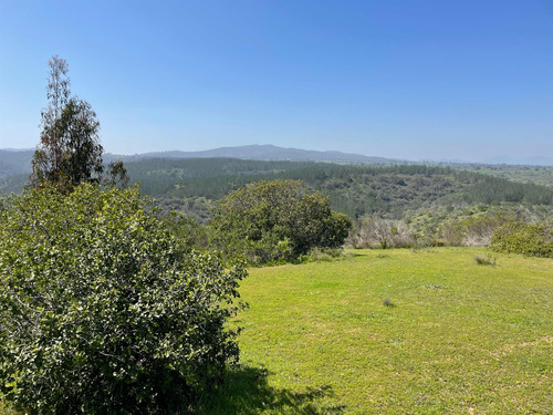 Venta De Parcelas, 5.000 Mts2, Con Agua Y Luz, En Algarrobo