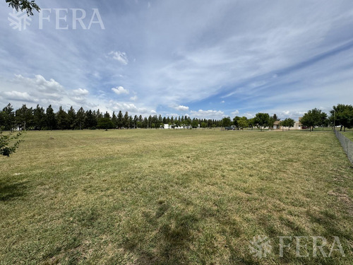 Venta De Terreno En Campos De Roca 2