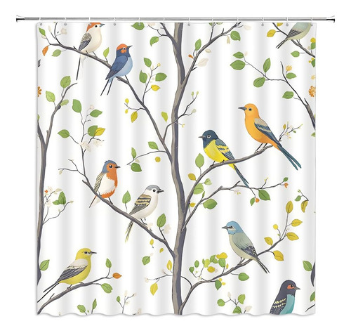 Conjunto De Cortina De Ducha De Aves Primaverales, Colorida