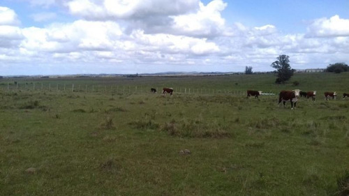 Mieres Vende 79.50 Has | Campo | Camino Corte De La Leña